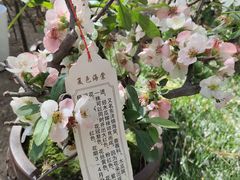 -海棠花溪(元大都城垣遗址公园)