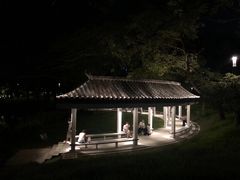 -四海公园(南山区)