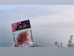-贡湖湾湿地公园