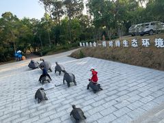 -广东惠东海龟国家级自然保护区