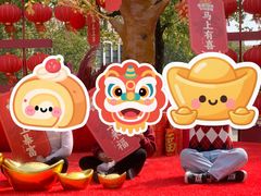 -南京银杏湖乐园