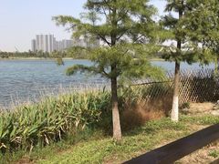 -桐乡凤凰湖