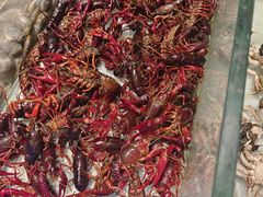 -鼎香缘海鲜自助火锅烤肉(锦辉购物广场店)