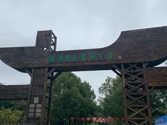 -溱湖国家湿地公园