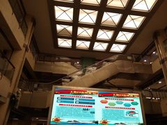 -上海市普陀区中心医院