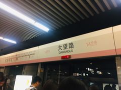 -大望路(地铁站)