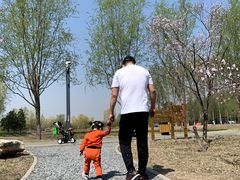 -东郊湿地公园
