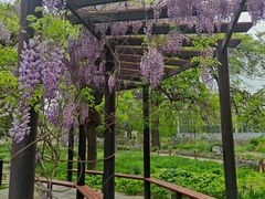 -国家植物园南园