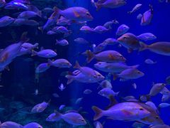 -成都浩海立方海洋公园