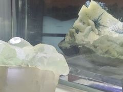 -湖南省地质博物馆