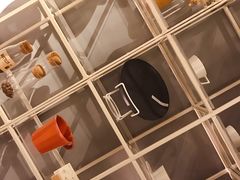 -觅见咖啡馆(艺展中心店)