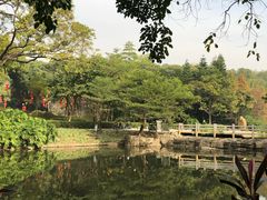 -云溪植物园