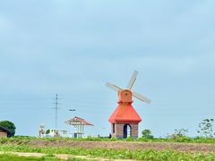 -杭州湾海上花田景区