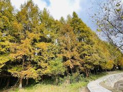 -塔川景区