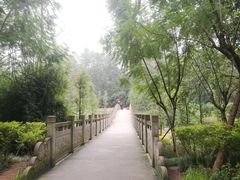 -重庆彩云湖湿地公园