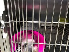 -申普宠物医院·眼科·心内科·影像科(普陀分院)