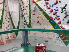 -绿壁虎攀岩基地(Tcar店)