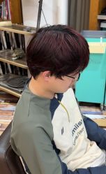 -IDOL-PLUS