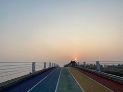 -贡湖湾湿地公园