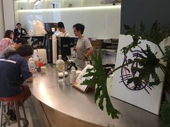 大堂-Seesaw Coffee(上海国金中心店)
