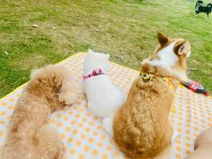 -钟山体育运动公园