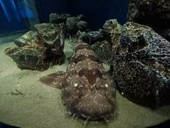 -厦门海底世界
