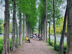 -上海滨江森林公园