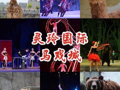 -灵玲国际马戏城