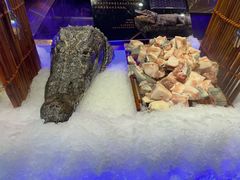 -九月海·海鲜自助(世纪东方店)