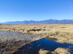 -野鸭湖国家湿地公园