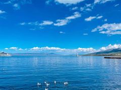 -青海湖国家重点风景名胜区