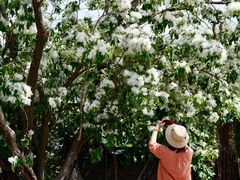 -国家植物园南园