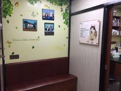 -安安宠医宠物医院·异宠·犬猫内科(岳阳分院)