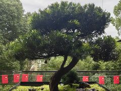 -恬阿姨庭院餐厅·生日宴