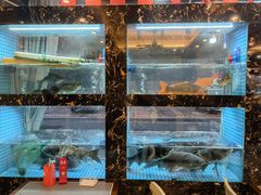 -浔味·山屿湖·正宗淳牌全鱼宴老字号