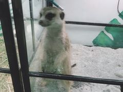 -藦茜花园宠物主题亲子互动体验馆(国顺东路店)
