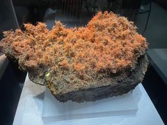 -湖南省地质博物馆