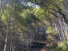 -西湖风景区十里琅珰-五云山