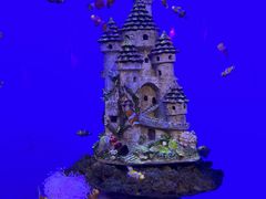 -海合安武汉极地海洋公园