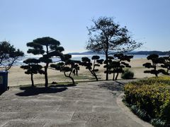 -普陀山风景名胜区-千步大沙