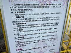 -嘉定紫藤园