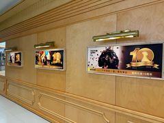 -帕帕拉兹宠物(亚洲旗舰店)