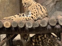 -波塞冬旅游度假区