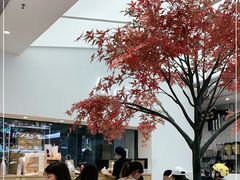 -艾薯夫妇Aysh(福田星河COCOPark店)