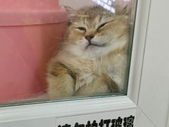 -奶奶的美食(悦立方店)