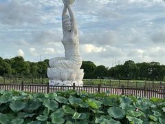 -荷塘月色湿地公园·向阳花洲