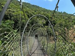 -海南热带雨林国家公园吊罗山景区