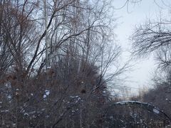 -红光山景区