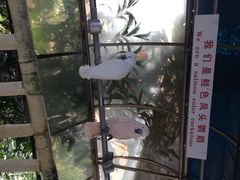 iphone_upload_pic-百鸟园