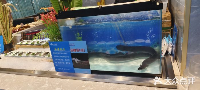 伍棵煋炭烤自助料理·烤鳗鱼(浦东食品城店)图片